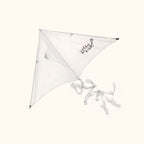 Imagination - Sustainable Kite (NO PAINTS)